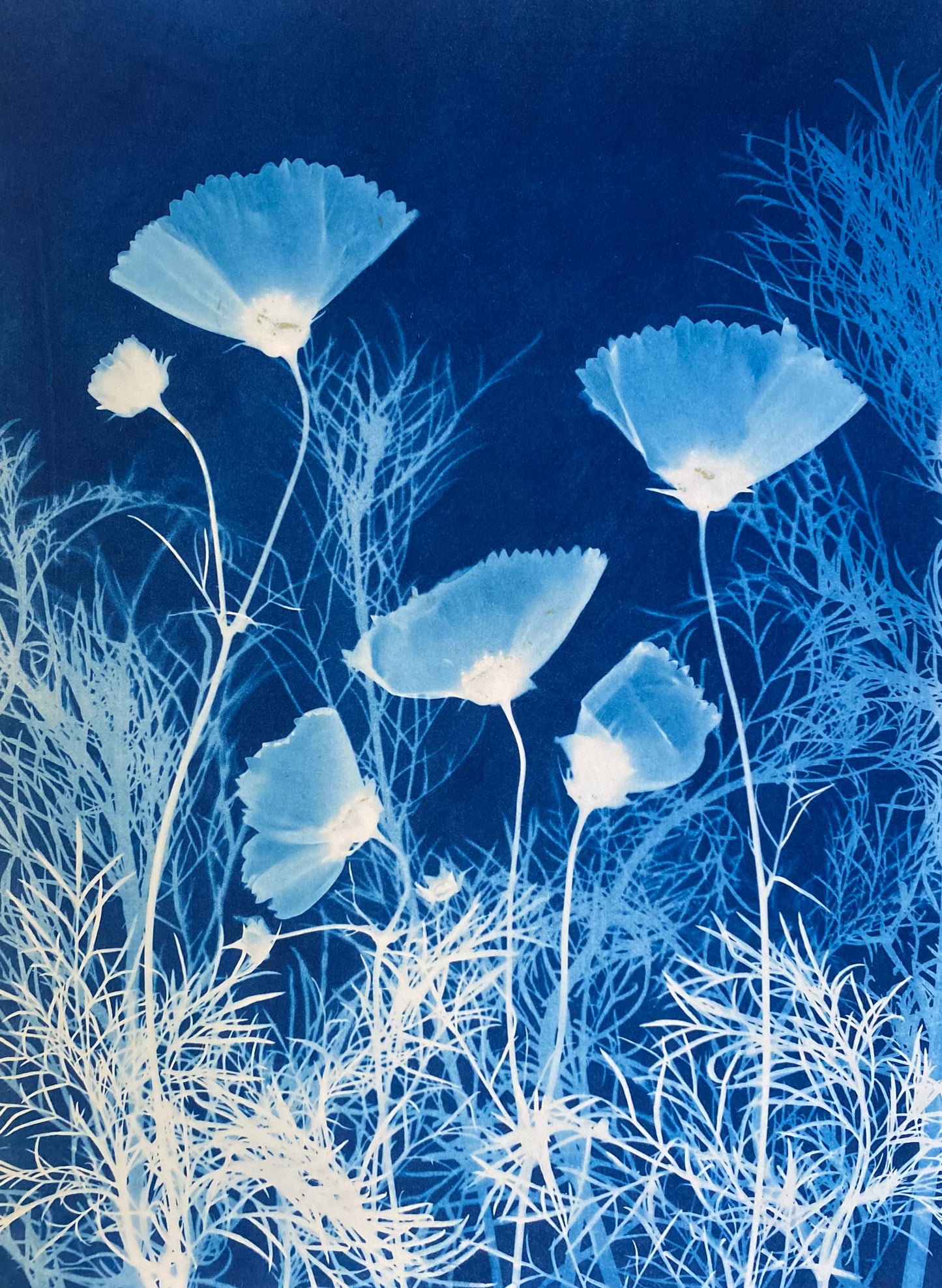 SOLD - How the sun saw it - Cosmos 1