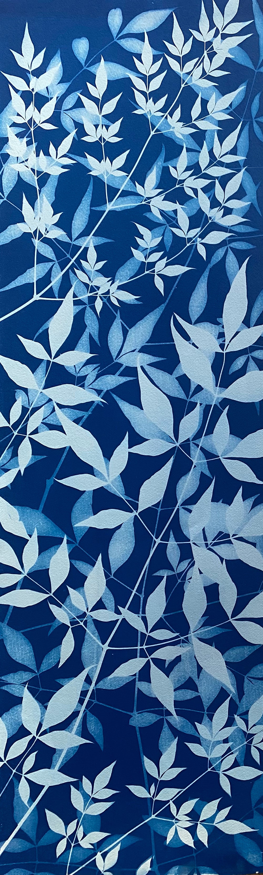 How the sun saw it - Privet IV