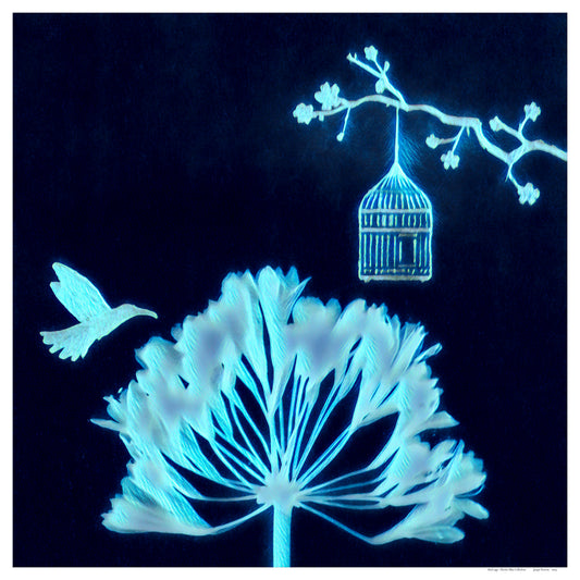 Electric Blue - Bird cage