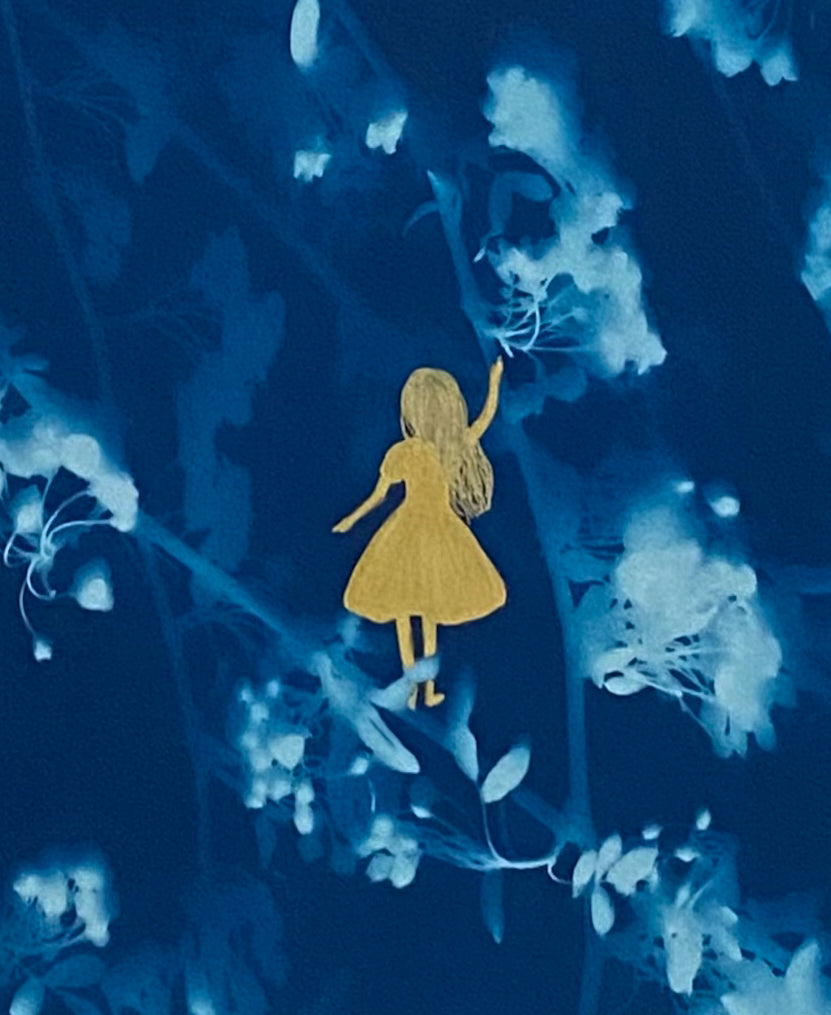 Lost in the garden II