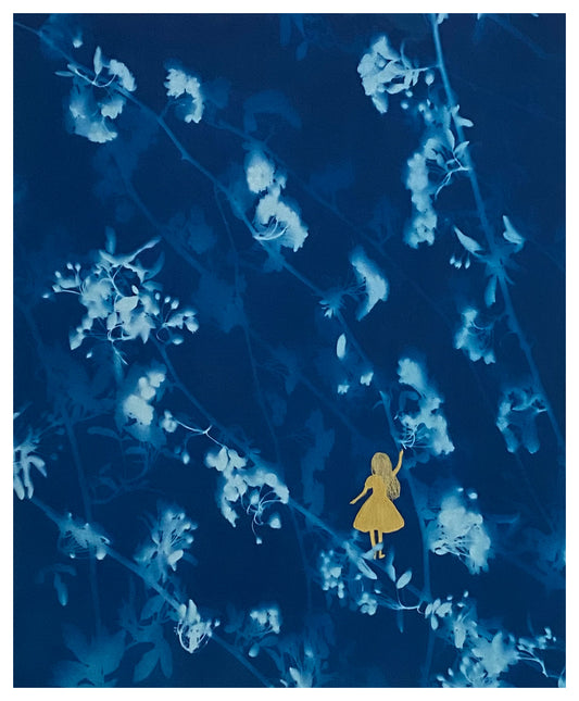 Lost in the garden II