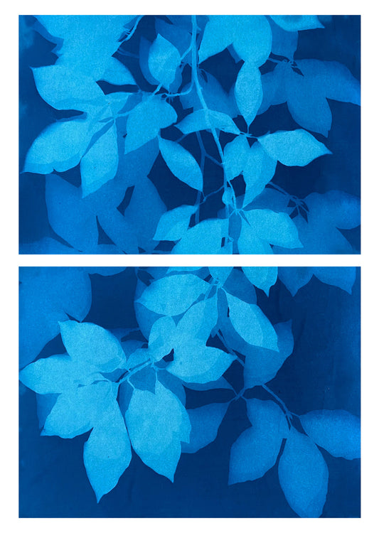 CURRENTLY UNAVAILABLE - In the garden - Serenity in blue - Diptych