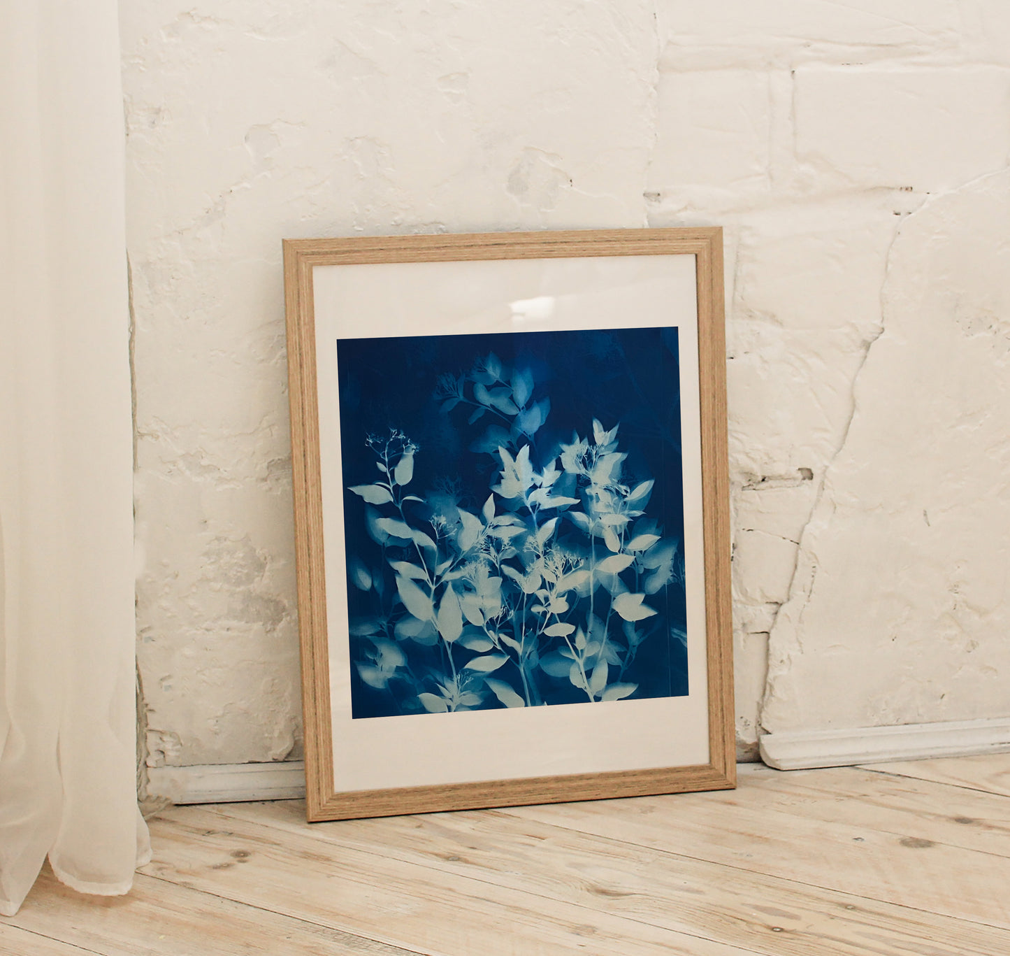 How the sun saw it - Photinia I