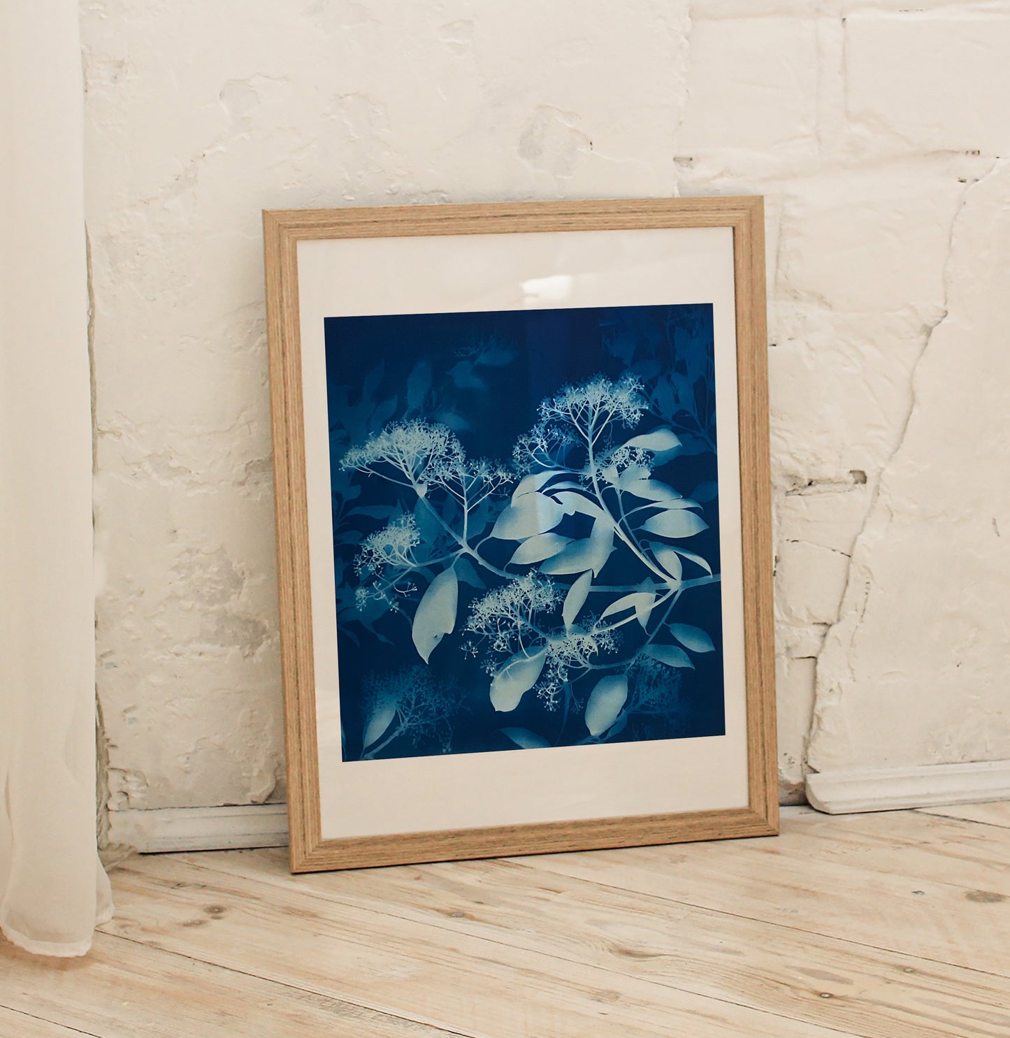 How the sun saw it - Photinia II