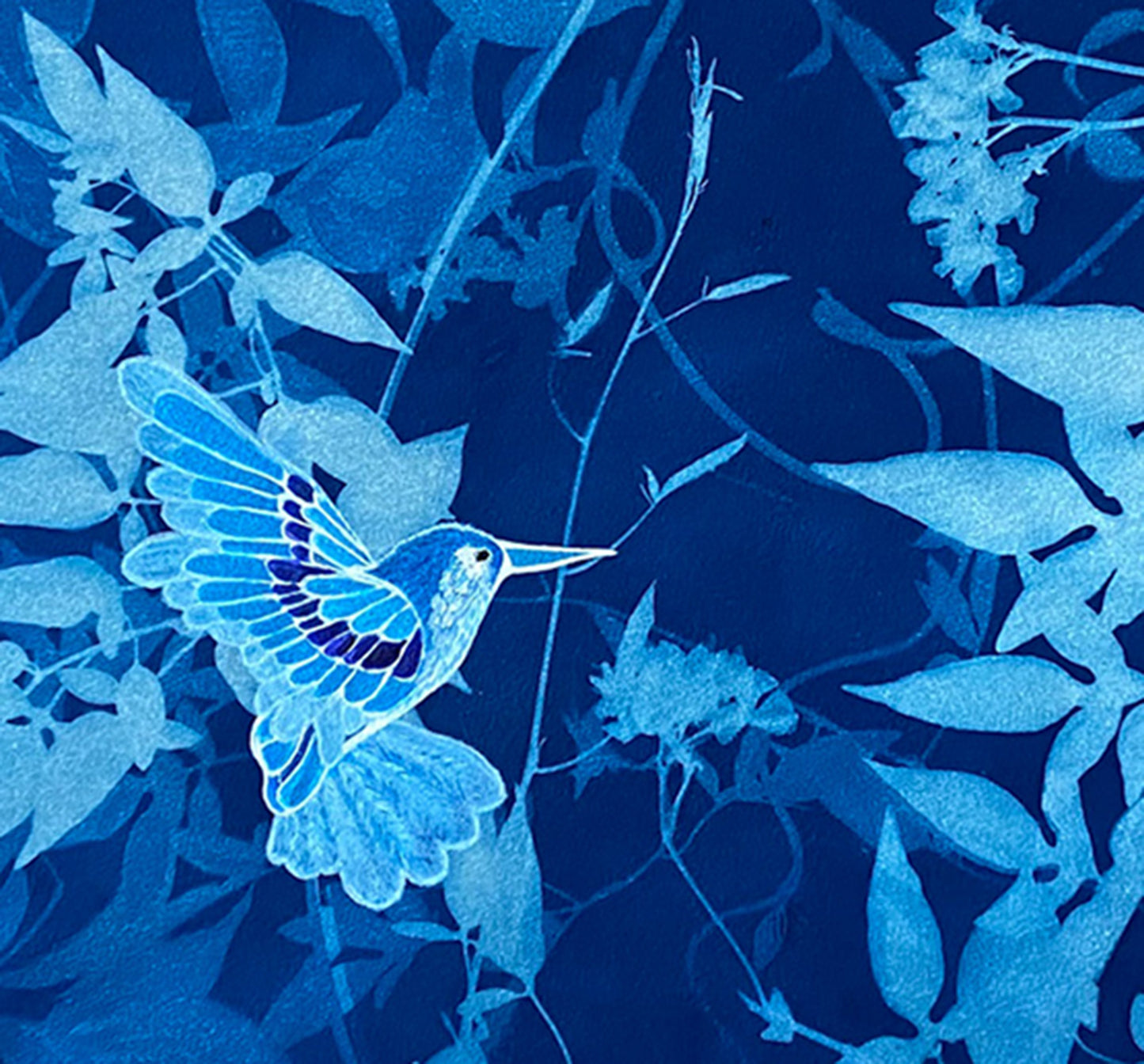 In the garden - The jasmine and the hummingbird